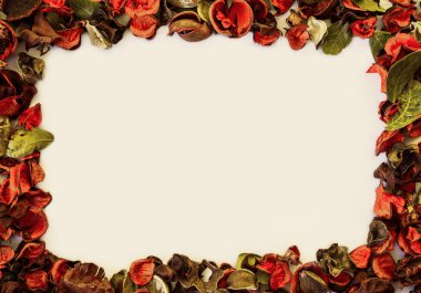 Kuru dekorasyon çerçeve, parlak sarı arka plan