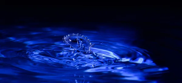 Donker blauw Water Drop Detail — Stockfoto