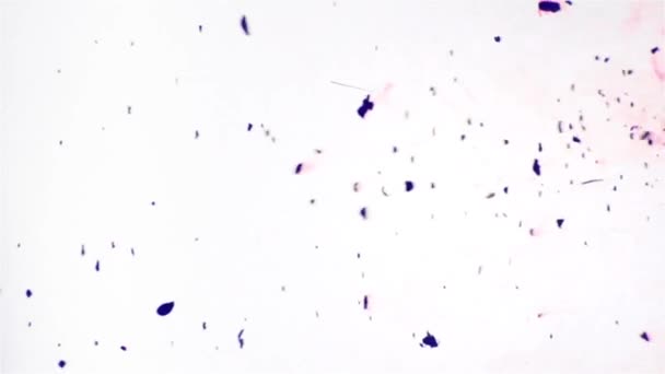 Flux de particules Création de fumée de couleur 