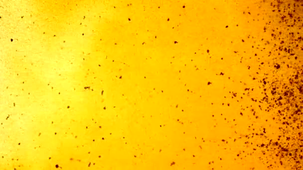 Fließende Partikel in orangefarbener Flüssigkeit — Stockvideo