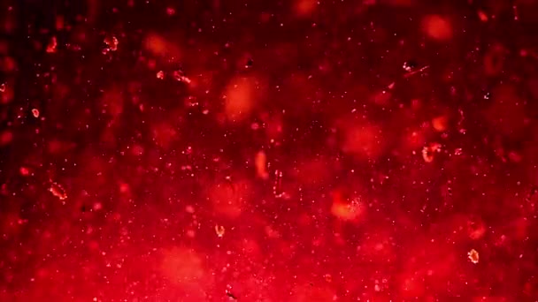 Particelle rosse che scorrono nel liquido — Video Stock