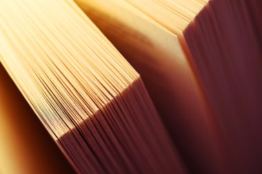 Açık kitap, gazete köşelerinde detayını portre