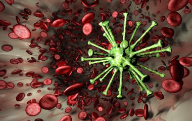 Viral hücre akan kan hücrelerinin damar çevrili