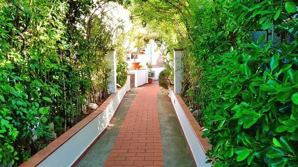 Bahçede güzel bir gezinti.