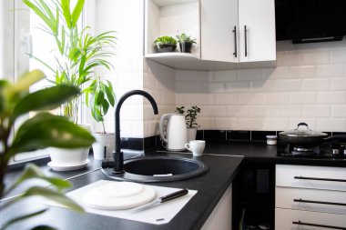 Beyazlı modern mutfak. Pencerenin yanında lavabo var. Yeşil bitkileri olan bir sürü çömlek. Masada beyaz tabaklar.