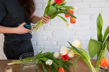 Müşteri için yaratıcı bir buket lale yapmaya çalışan bir çiçekçi kadın. Çevrimiçi sipariş hazırlık konsepti. Çiçekçide taze beyaz ve kırmızı laleler. Vazolu çiçekçinin işyeri..