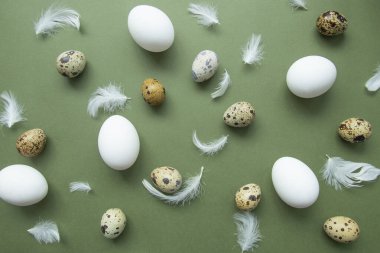 Şık yumurta desenleri. Mutlu Paskalyalar. Yeşil arkaplandaki yumurta ve tüylerin düz görüntüsü. Minimalist stil. 