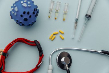 Evcil hayvan bakımı kavramı. Mavi masadaki tedavi aletleri. en üstteki görünüm