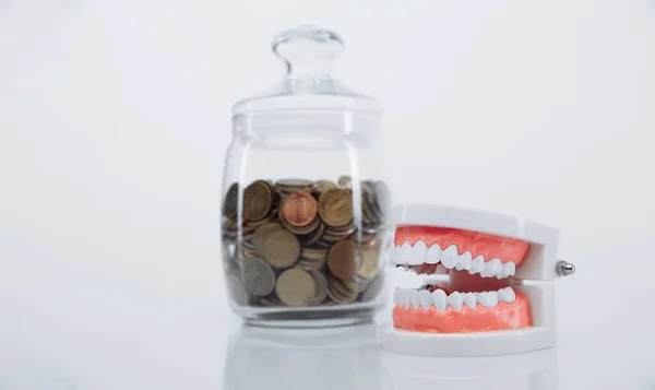 Model of jaw and bank with coins. Money and dentist concept — Stock Photo, Image