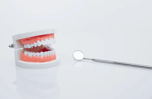 Modello mascella e strumento dentista. concetto di trattamento dei denti — Foto Stock