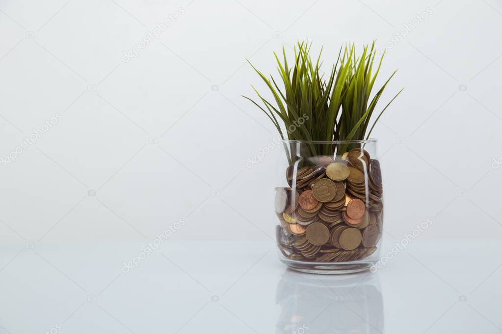 Plant growing out of coins in bank. Growing deposit concept
