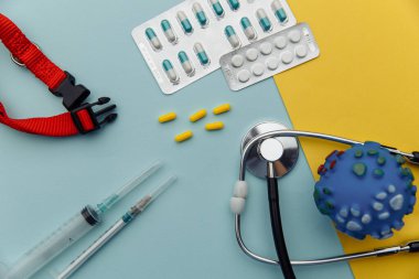 Hayvan bakımı konsepti. Haplar, ampul, şırınga ve tasma mavi sarı bir masada.