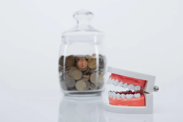 Model of jaw and glass bank with coins on a glass table. Money and dentist concept — Stock Photo, Image