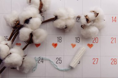 Adet gören kadın hijyen konsepti. Minimum düzlük adet tamponu ve pamuk dalı olan takvim