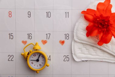 Kadınların adet döngüsü ve hijyen konsepti. Regl takvimi, hijyenik pedler, çalar saat ve kırmızı çiçek. Üst görünüm