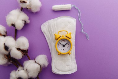 Regl pedi, pamuklu tampon ve leylak arkaplanda sarı alarm saati. Dişilerin adet döngüsü kavramı