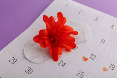 Kadınların adet döngüsü ve hijyen konsepti. Hijyenik ped ve kırmızı çiçekli adet takvimi