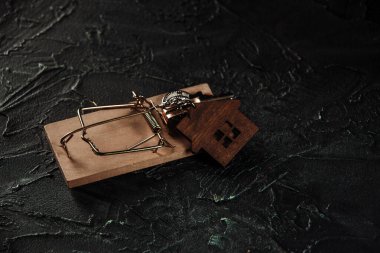 Fare kapanı ve ev anahtarı. İpotek dolandırıcılığı. Ev satın alma dümeni