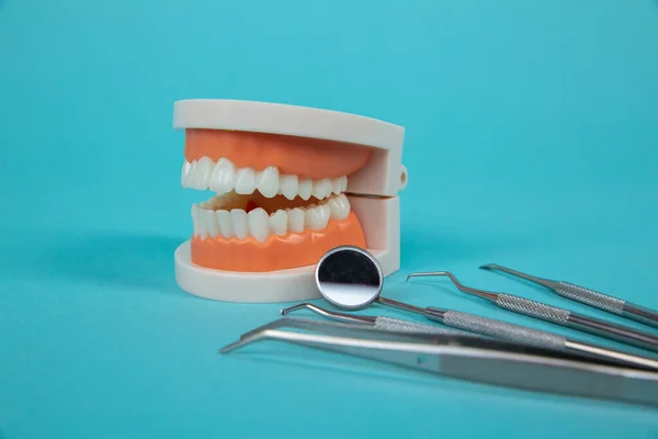 Fake jaw with medical instruments isolated on the blue background. — Stock Photo, Image