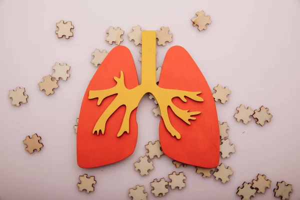 Lung cancer or respiratory disease concept. Wooden puzzle and lung