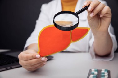 Doktor büyüteçle karaciğer modeli gösteriyor.
