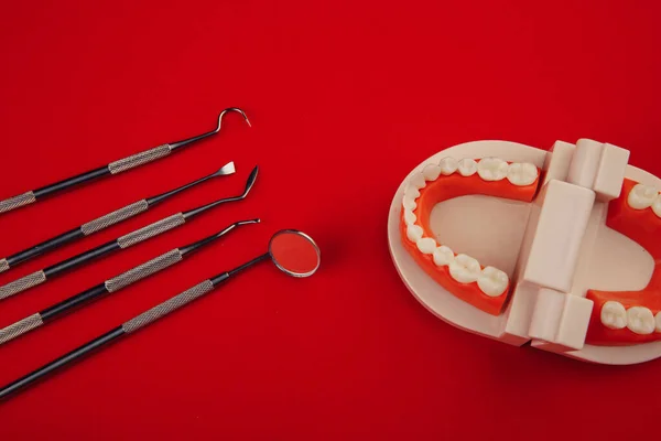 Group of dental tools for the treatment of teeth and jaw on red background. Top view — Stock Photo, Image