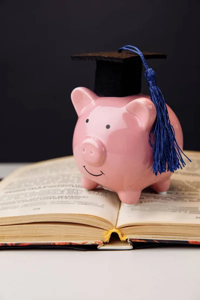Caja de dinero rosa en gorra. Universidad, graduado, concepto de educación. Imagen vertical — Foto de Stock