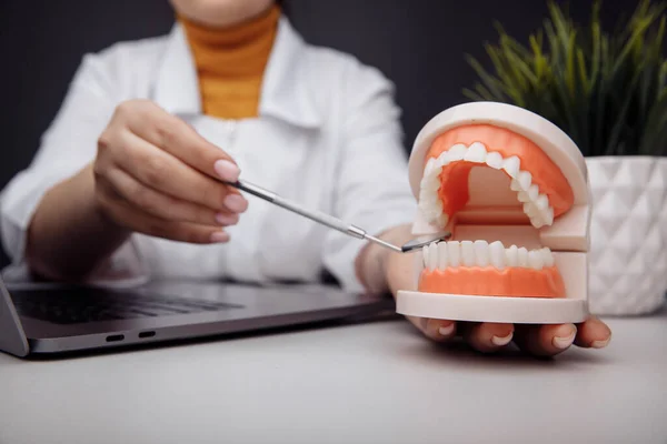 Il dentista mostra un primo piano modello di mascella. Concetto sanitario — Foto Stock