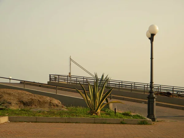 Fragment Promenady Małym Włoskim Miasteczku Portoscuso Sardynii Agave Latarnia Pierwszym — Zdjęcie stockowe