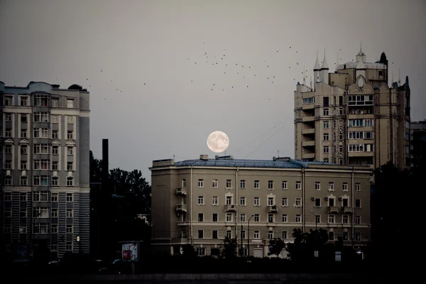 Moon under Petersburg. Vintage.