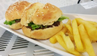 Hamburger Kızarmış Patates Kızarmış Soğan Halkası Ketçap Mayonez Sunum Tabağı SK19