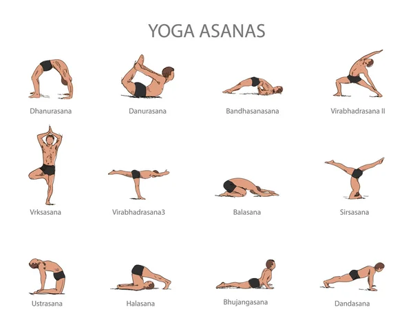 Conjunto vectorial de posturas de yoga aisladas sobre fondo blanco. Cuerpo humano estirando posiciones. Concepto de Asana — Vector de stock