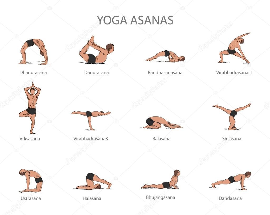 Vector Set Of Yoga Poses Isolated On White Background Human Body vector-set-of-yoga-poses-isolated-on-white-background-human-body