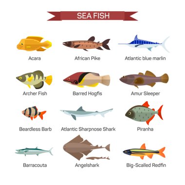 Fish vector set in flat style design. Ocean, sea and river fishes icons collection clipart