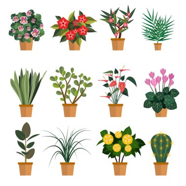 Vector set of flowers. Illustration with different types pot flower icons isolated on white background clipart