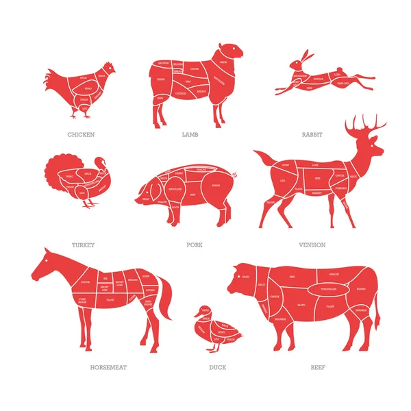 Butcher shop concept vector illustration. Meat cuts. Animal parts diagram of pork, beef, lamb — Stock Illustration Butcher shop concept vector illustration. Meat cuts. Animal parts diagram of pork, beef, lamb Stock Illustration