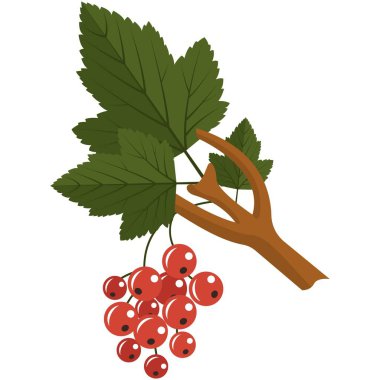 Sapında kırmızı frenk üzümü ve düz vektör simgesi