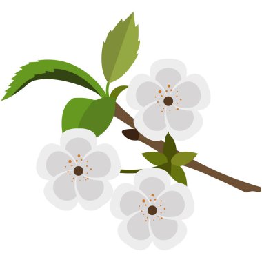 Çiçek açan meyve ağacı düz vektörü