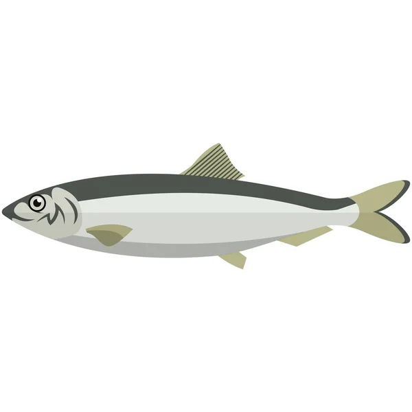 Vector peixe baltic arenque mar subaquático vida selvagem — Vetor de Stock