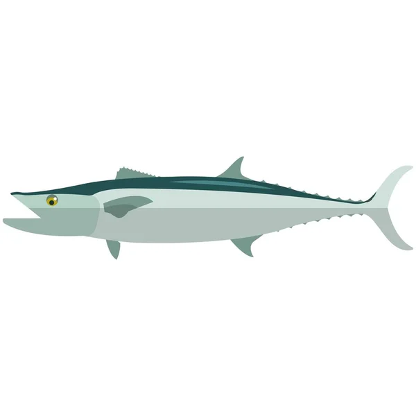 Ikan vektor spesies ikan barracuda laut bawah air mackerel - Stok Vektor