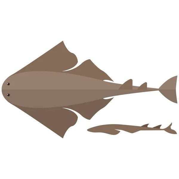 Ilustração vetorial de tubarão-anjo sobre fundo branco — Vetor de Stock