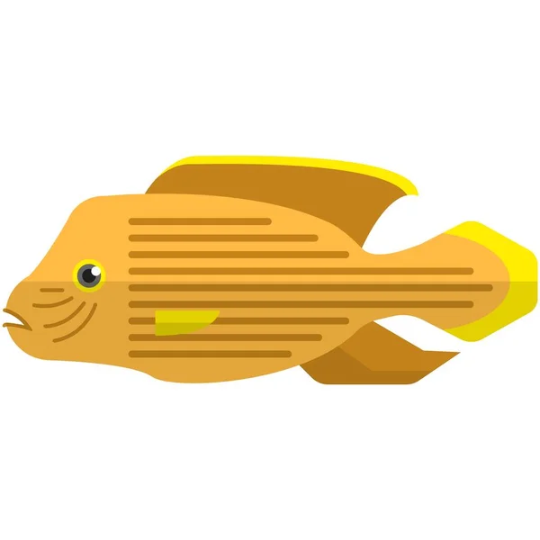 Ilustração de espécies de peixes do aquário Vector Acara sobre branco — Vetor de Stock