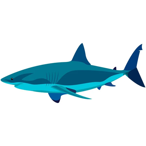 孤立的矢量白鲨水生生物图解 — 图库矢量图片
