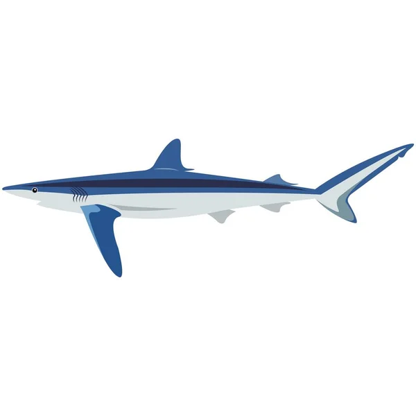 Ilustração de tubarão azul vetorial isolado em branco — Vetor de Stock