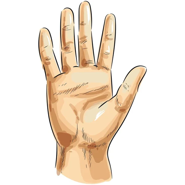 Vector hand palm pop art icoon geïsoleerd op wit — Stockvector