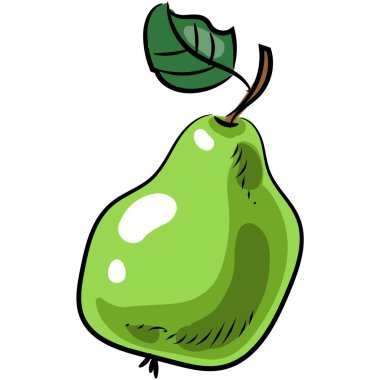 Armut vektör illüstrasyonu, yeşil meyve grafik simgesi