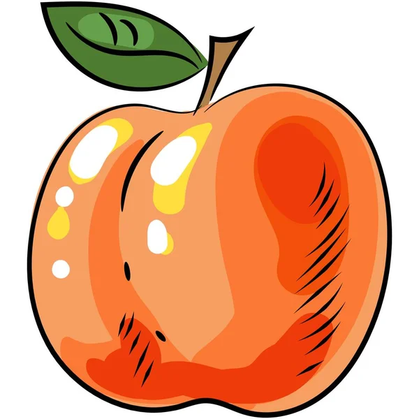 Perzik vector illustratie pictogram fruit geïsoleerd logo — Stockvector