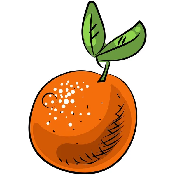 Ícone de ilustração de citrinos laranja vetorial no branco — Vetor de Stock