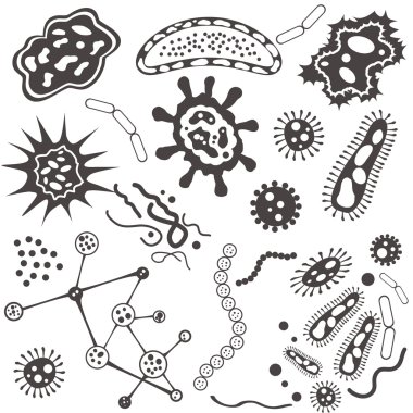 Bacteria, microorganism and virus cells isolated on white background. Vector Illustration.