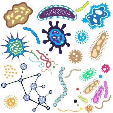 Bacteria, microorganism and virus cells isolated on white background. Vector Illustration